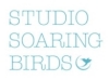 studio-soaring-birds
